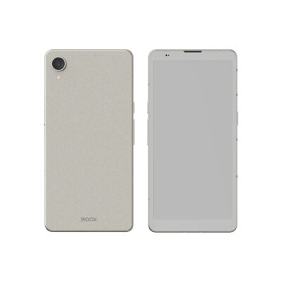 Boox Palma 3 - Titanium Gray