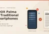BOOX Palma vs Smartphones